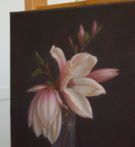 Magnolia