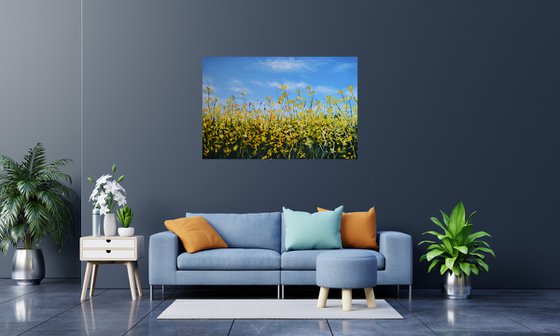 Canola Field in Ukraine