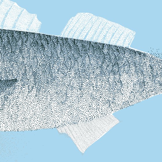 Fish - Illustration