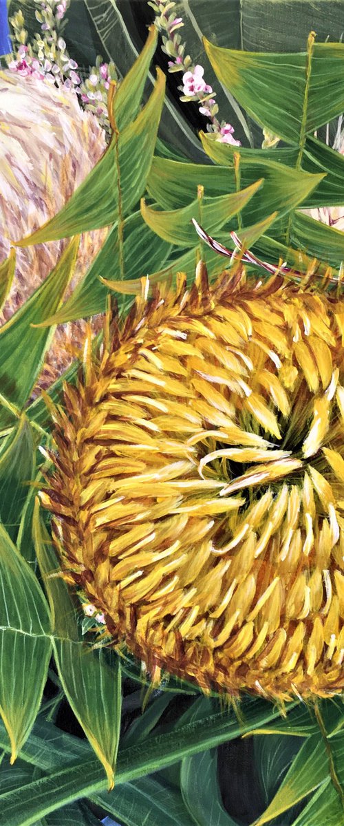 Come A Little Bit Closer - Banksia baxteri by HSIN LIN