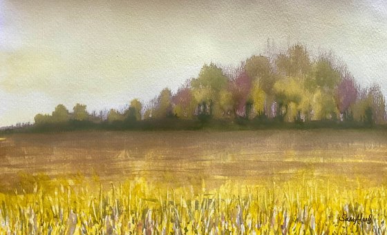 By the yellow field , Wiltshire