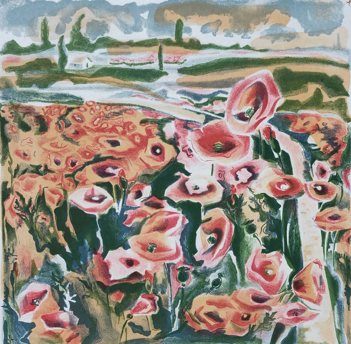 Field of poppies by Maria Zaytseva
