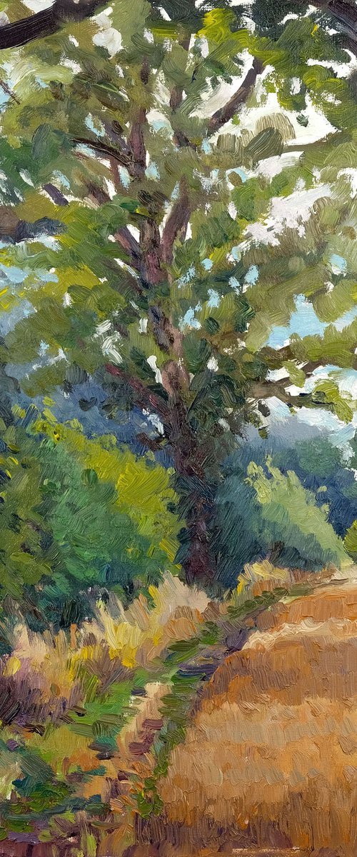 By the Wheatfield by Jeff Parker