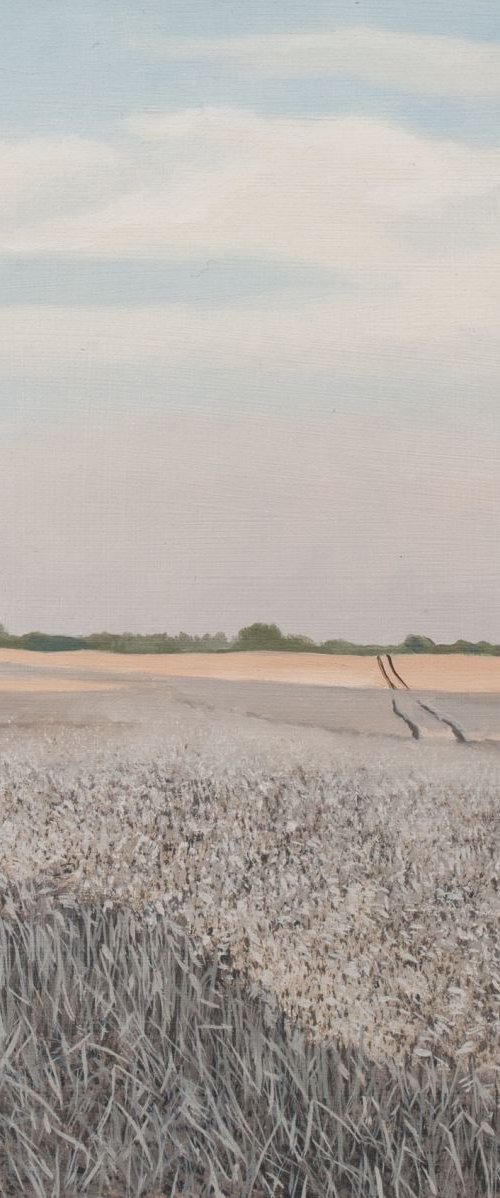 Wheat Field, Evening by Christopher Witchall