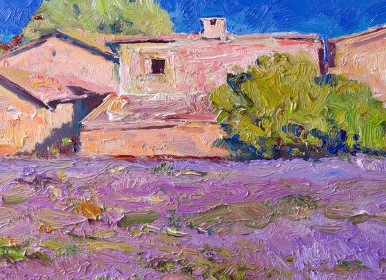 French Village. Lavender