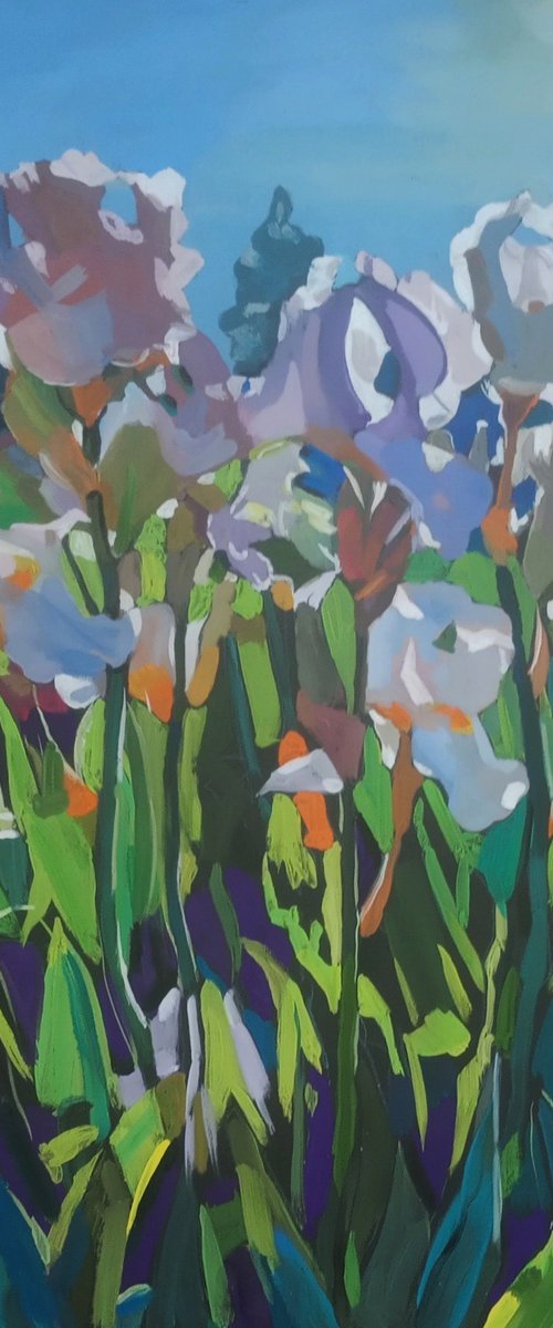 Irises by Valentina Kachina