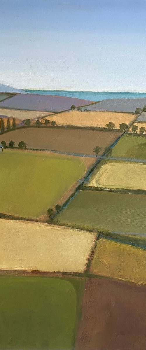 Summer Fields, Wessex by Nigel Sharman