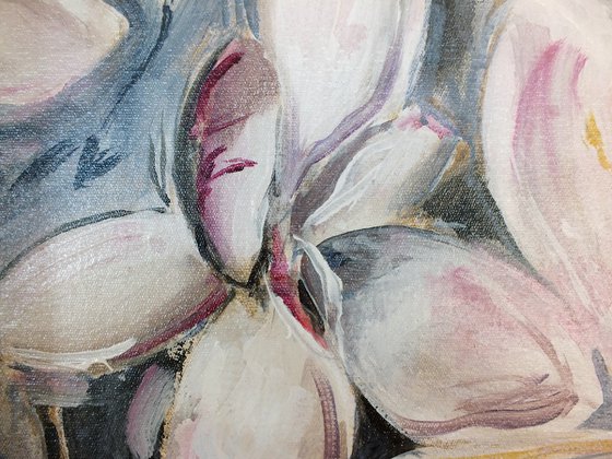 Magnolias