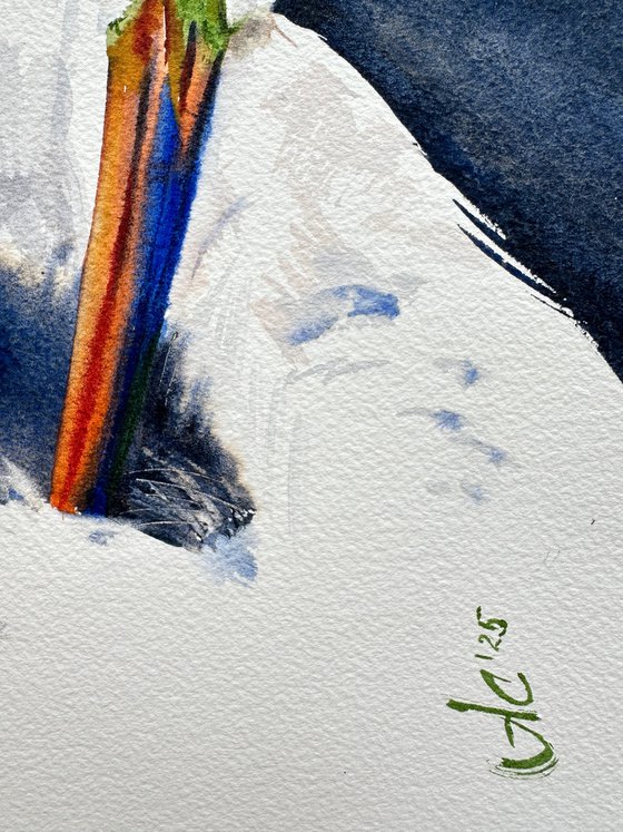 Birds: White Heron and Anhinga