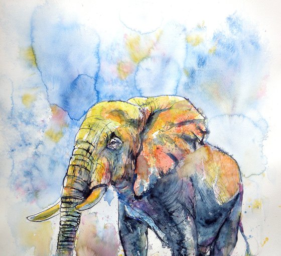 Big elephant
