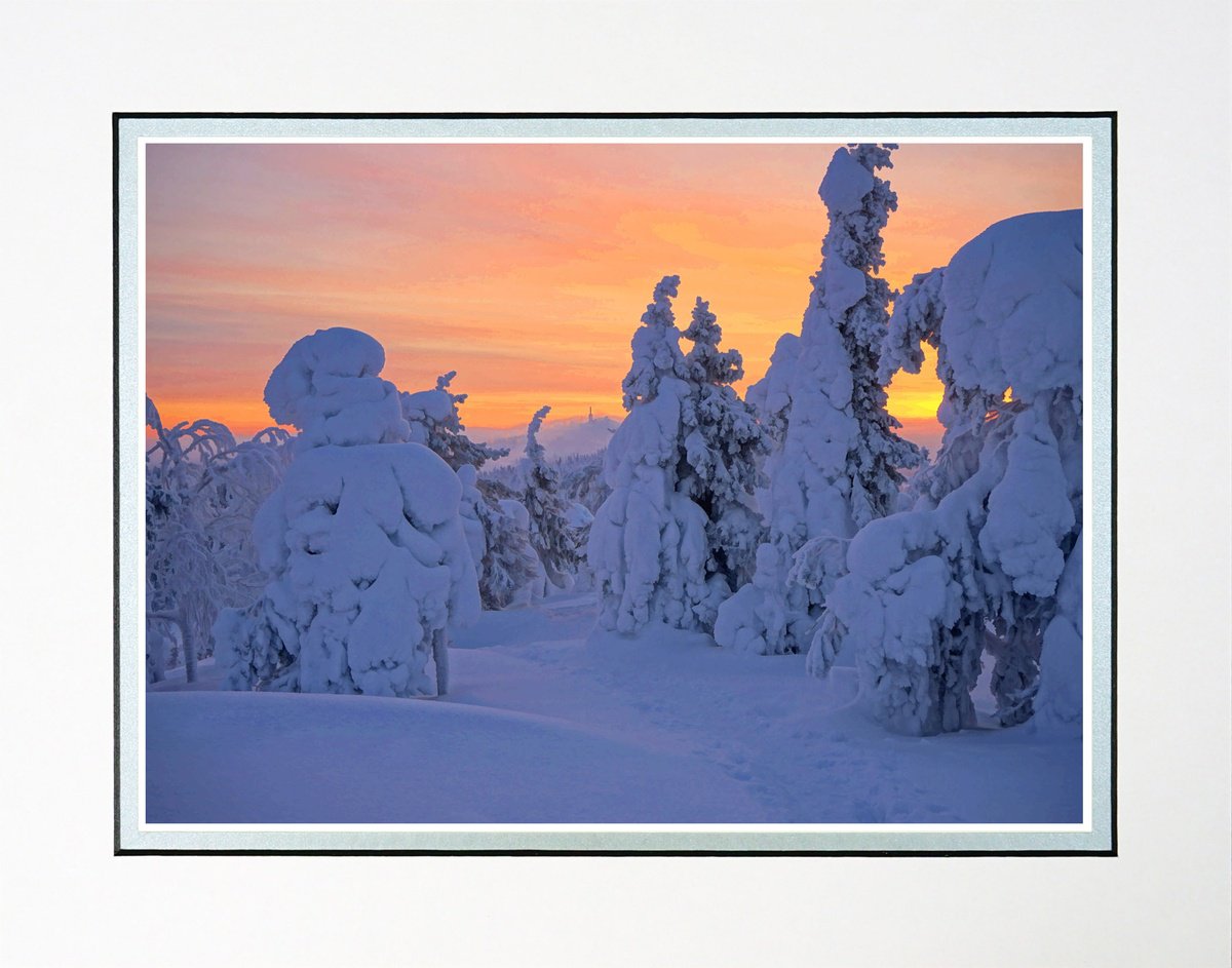 Photorealistic Landscape Photograph By Robin Clarke, 14 X 11", Finland Snow Forest Eight, Original Artwork