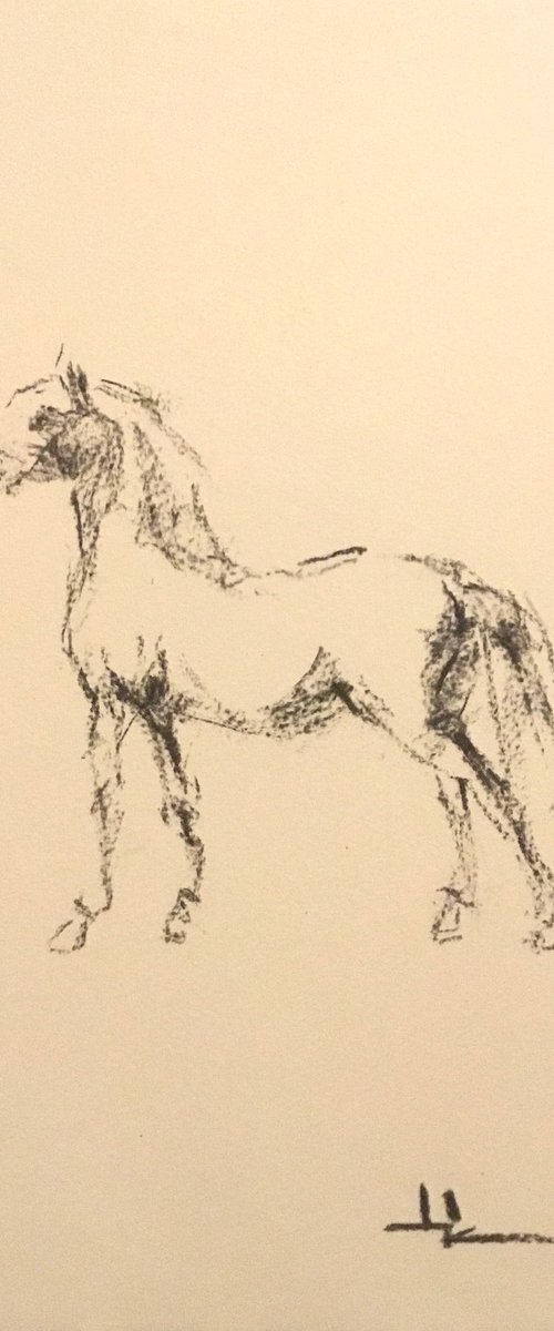 Horse Study inspired by Gericault by Dominique Dève