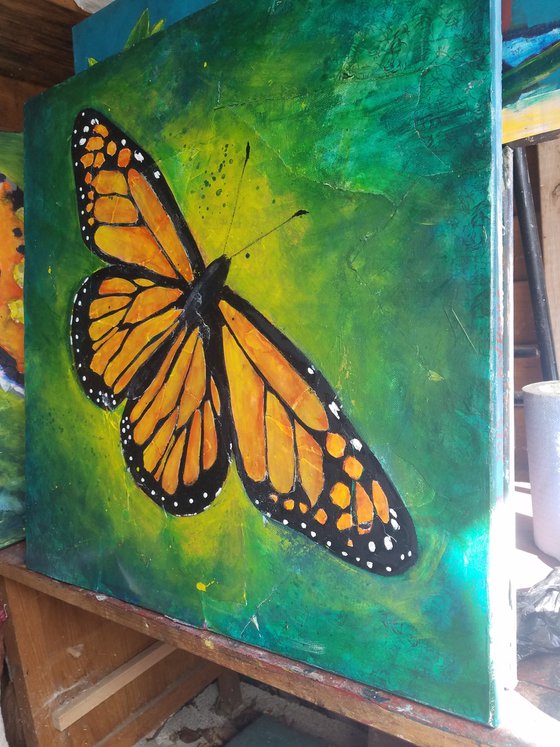 Monarch Butterfly
