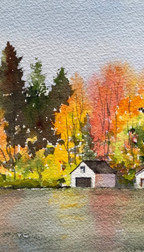 Canada autumn by Shelly Du