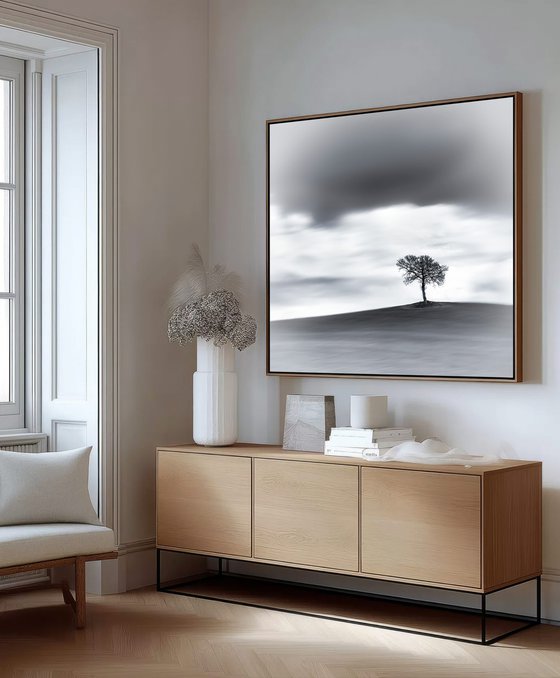 A lone tree on a hill top BW (Studio 2)