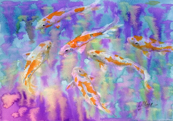 Koi Carp