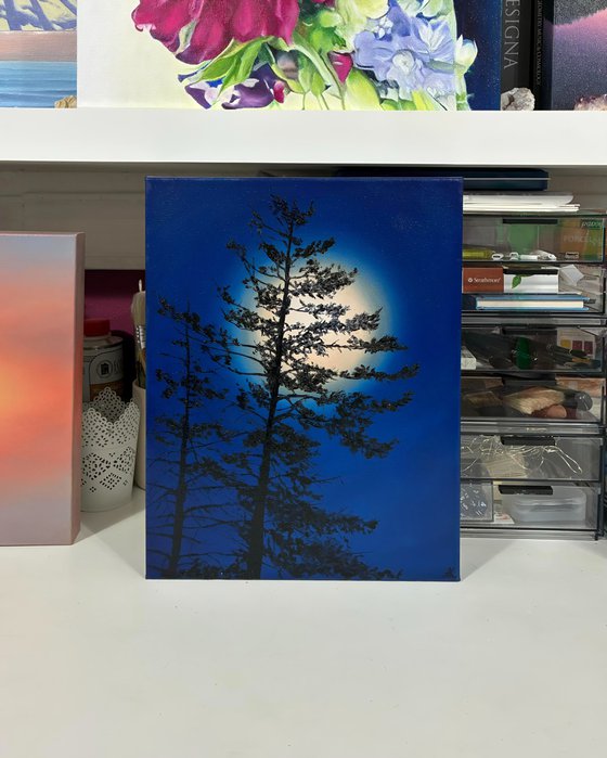 Nocturnal Pines