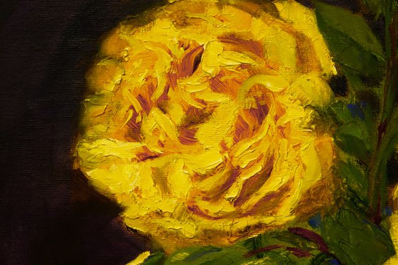 Three Yellow Roses