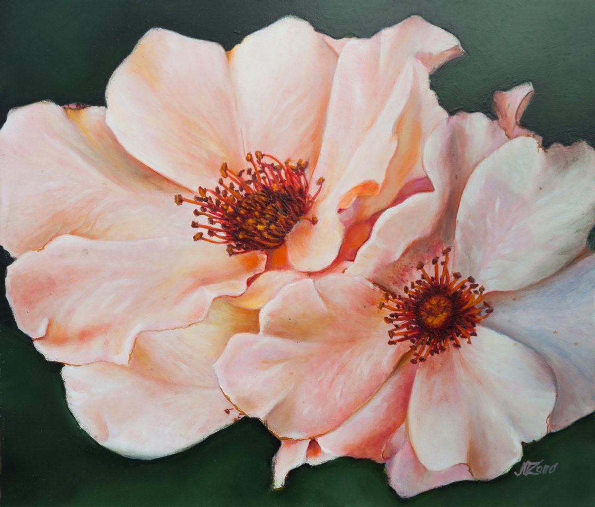 Pink roses by Norma Beatriz Zaro