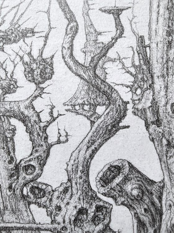 Every tree has its own melody. Habitat №04