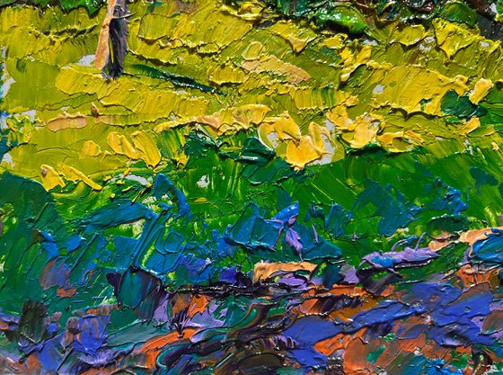 Yellow fields near the village