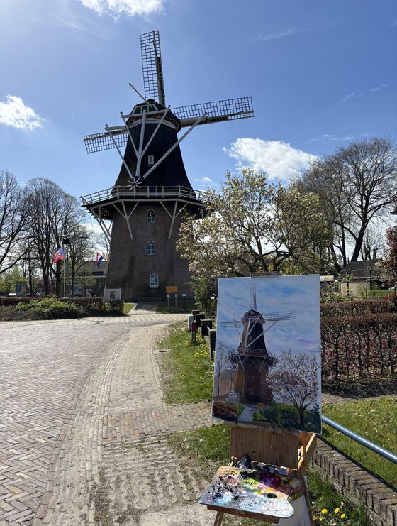Magnolia and Historic Windmill