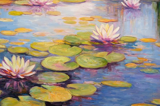 Water Lily Pond in Bloom