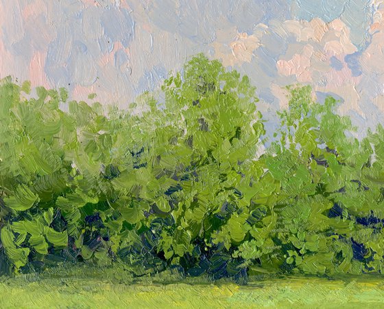 Clouds. Botanical Garden