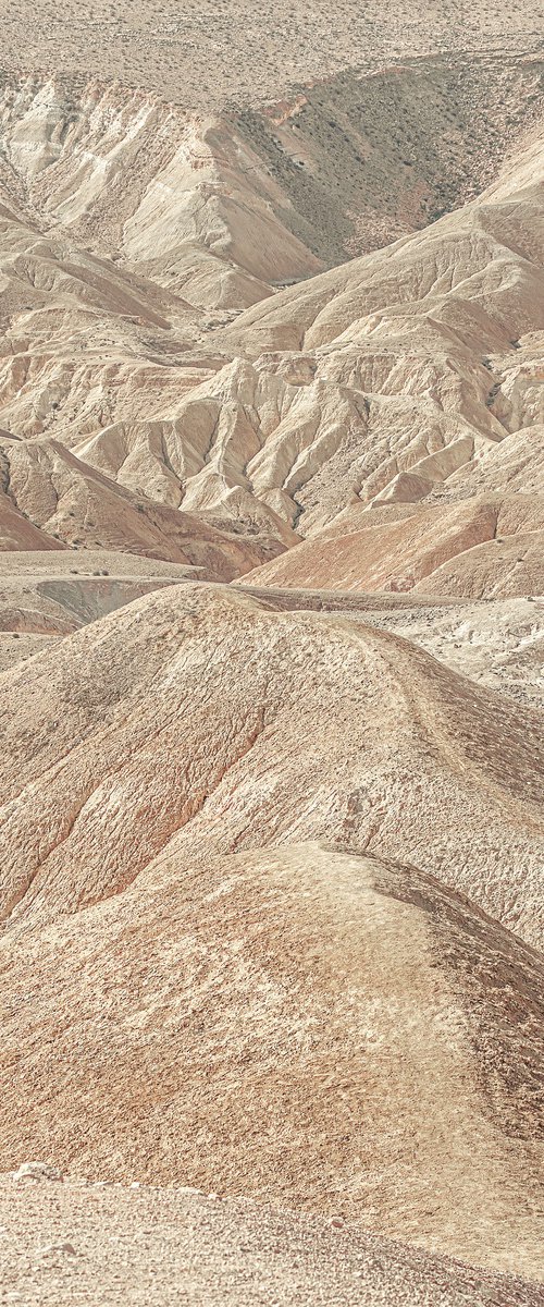 Negev Desert by Lidiya Dmitrieva