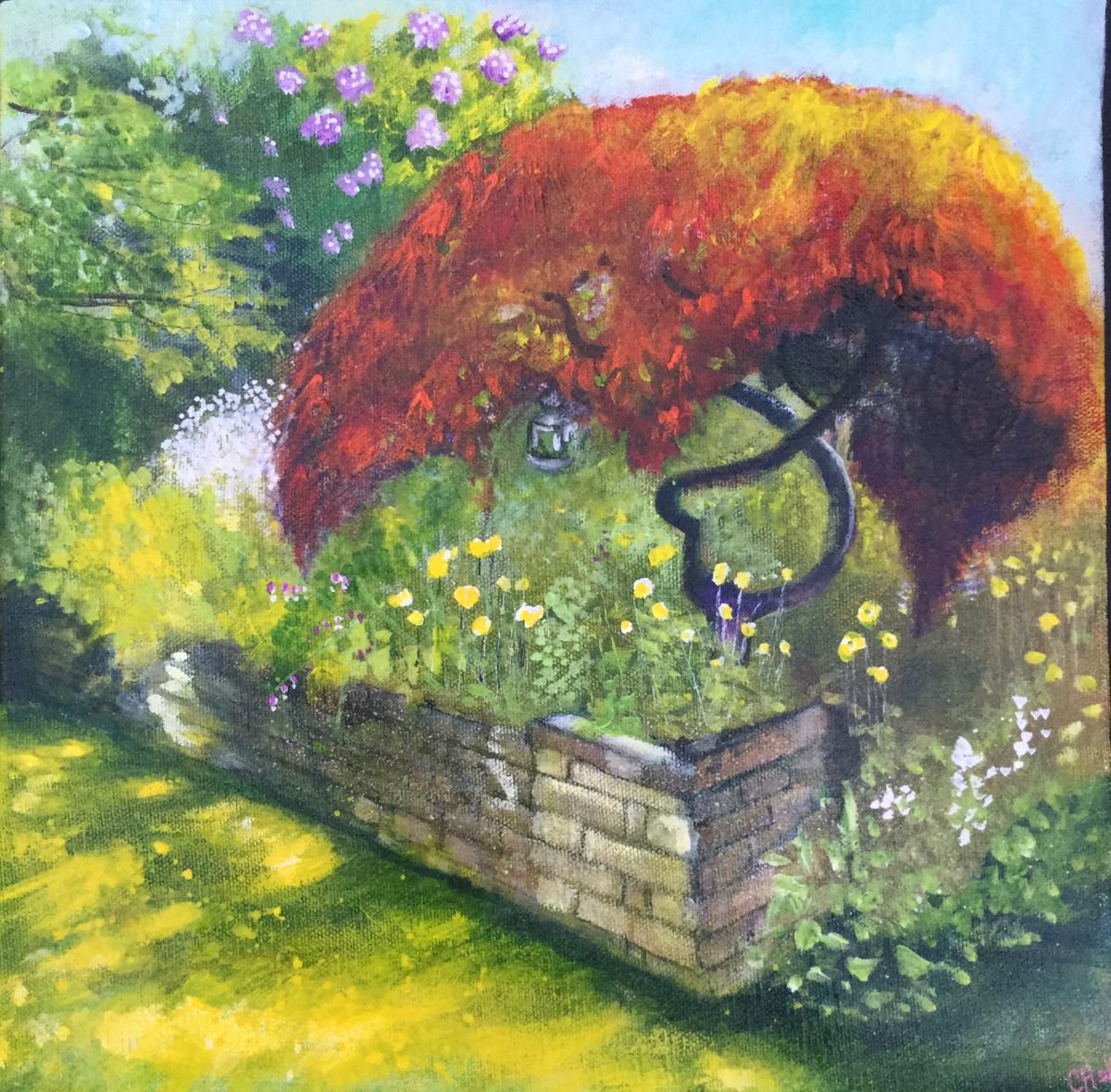 Summer garden - Japanese Maple by Carole Ann Hall
