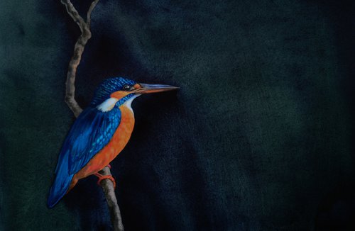 Kingfisher On Branch by Olga Beliaeva Watercolour