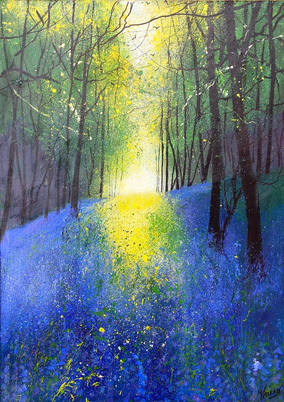 Spring, Light Across Bluebell Woodland