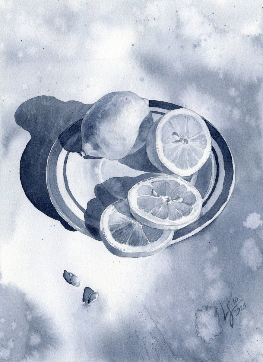 Citrus Shadows in Grey by SVITLANA LAGUTINA