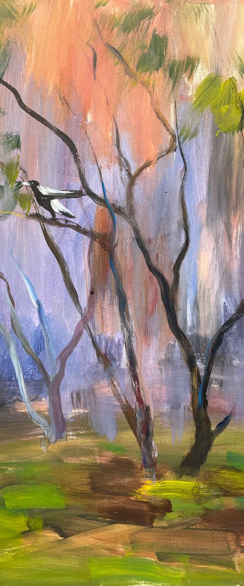 The magpie by Shelly Du