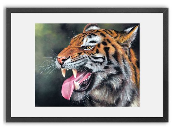 Tiger Snarling Original Big cat Painting)