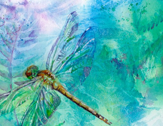 Dragonfly, original watercolour painting