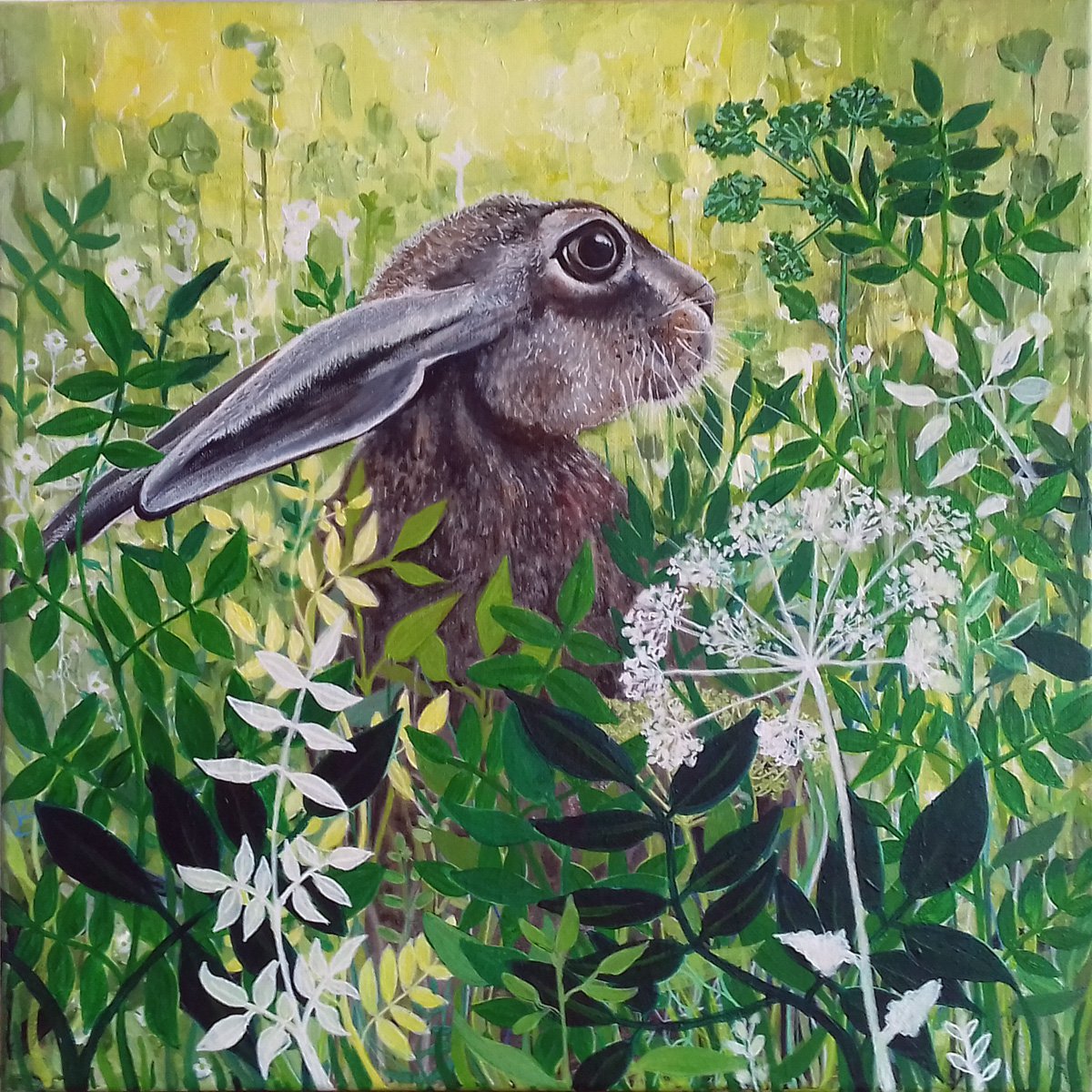 Impressionistic Animal Acrylic Painting By Carolynne Coulson, 16 X 16, Hare