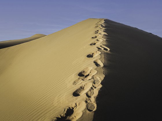 SAHARA TRACES