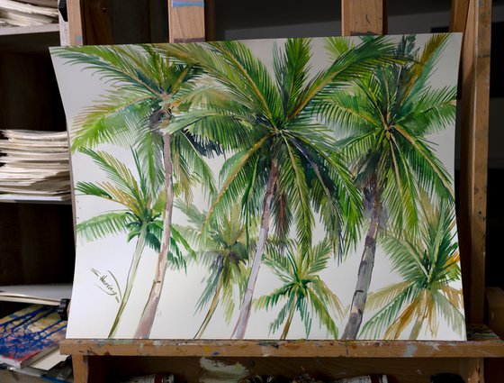 Coconut Palm Trees