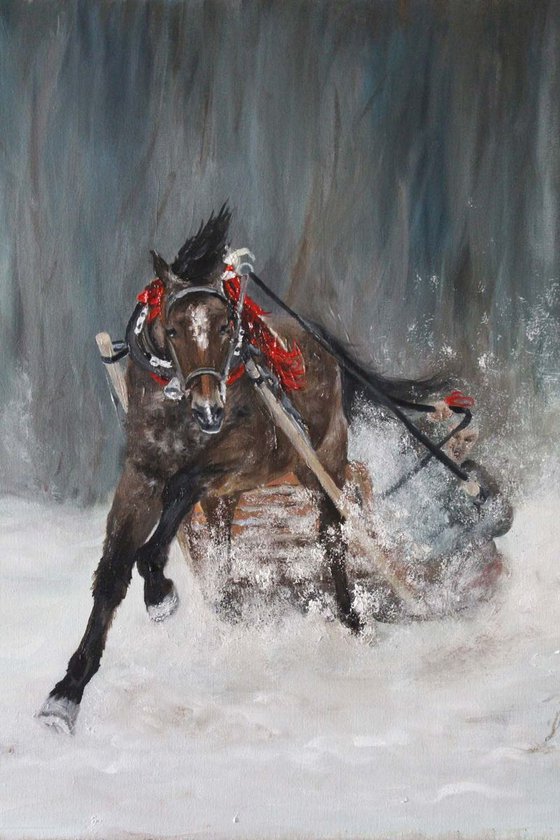 The horse with sleigh in the snow