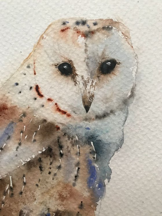 Owl on a branch - 19 x 28 cm