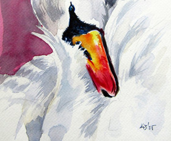 Swan II