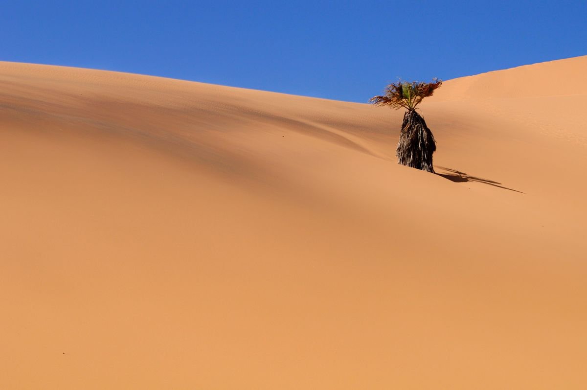 Dune 7, Namibia by Marc Ehrenbold