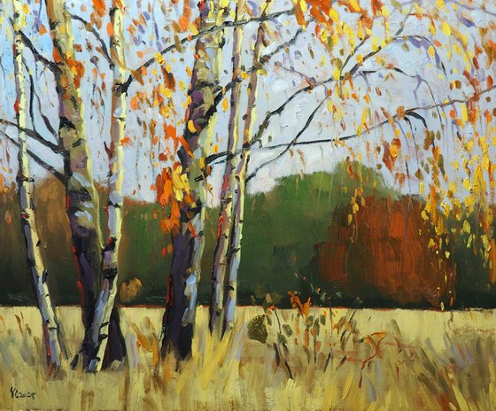 Autumn Landscape