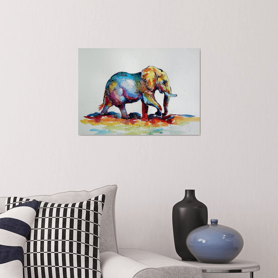 Colorful elephant V.