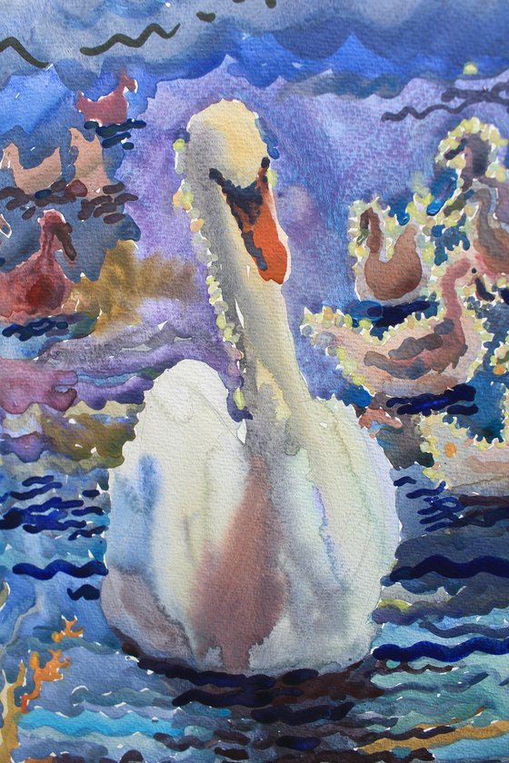 Swan family