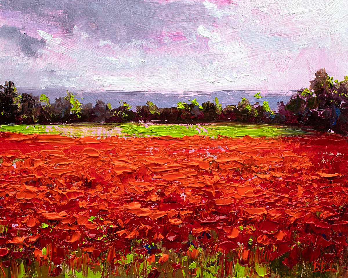 The poppy field by Bozhena Fuchs
