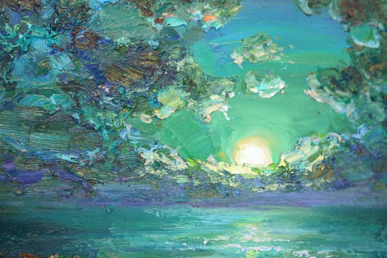 Where Moonlight Falls
