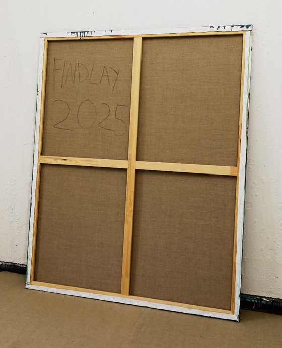 Monstera Double Shadows Green White