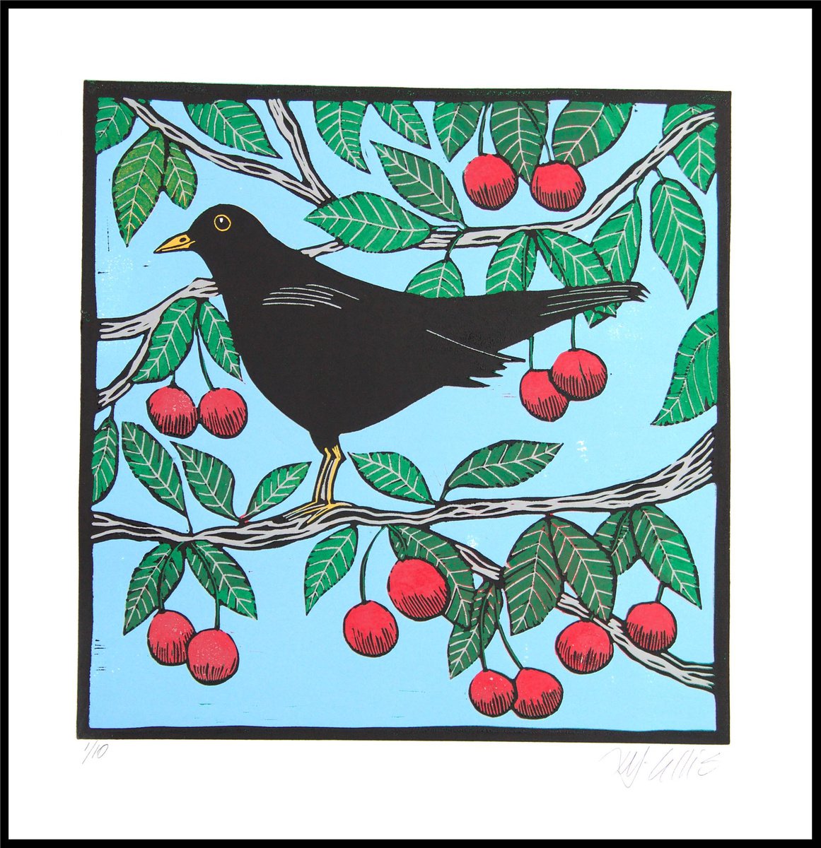 Blackbird and cherries, linocut reduction by Mariann Johansen-Ellis